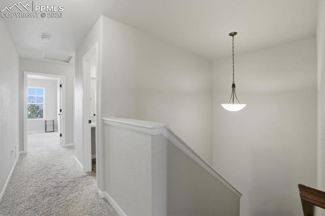 6544 Emerald Isle Heights