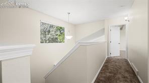 7065 Night Hawk Place