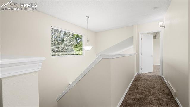 7065 Night Hawk Place