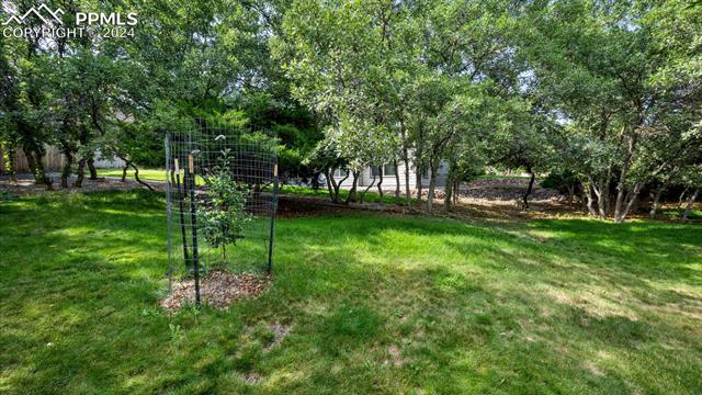 7065 Night Hawk Place