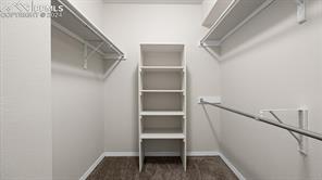 7065 Night Hawk Place