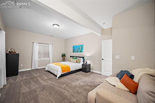 12646 Windingwalk Drive