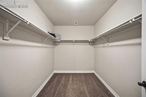 12646 Windingwalk Drive