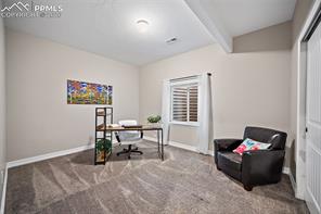 12646 Windingwalk Drive