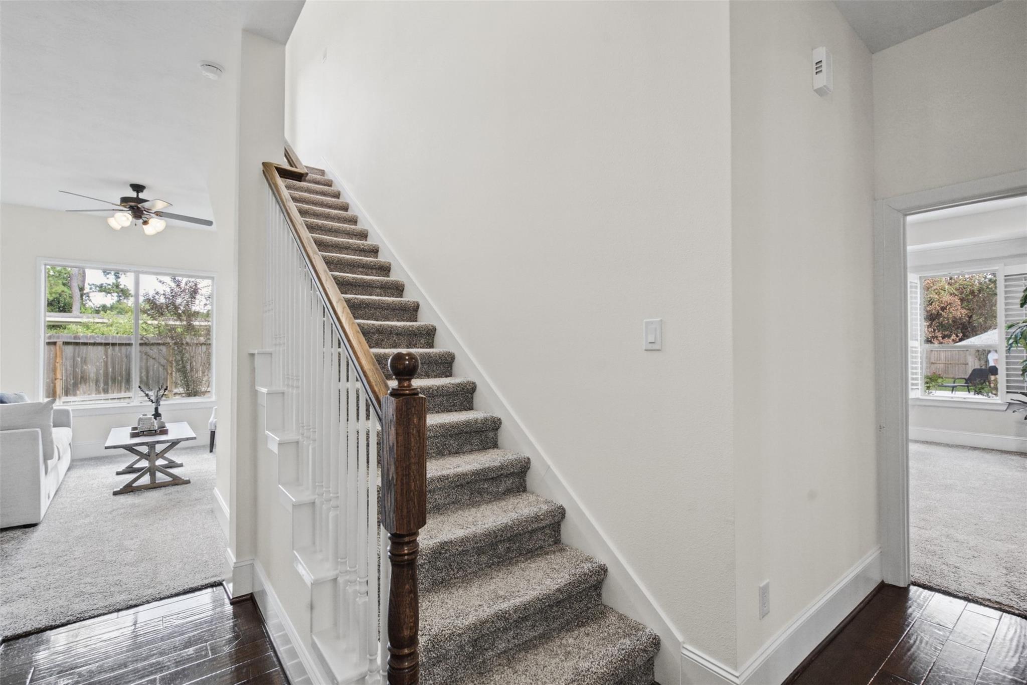 31246 Arbor Forest Lane