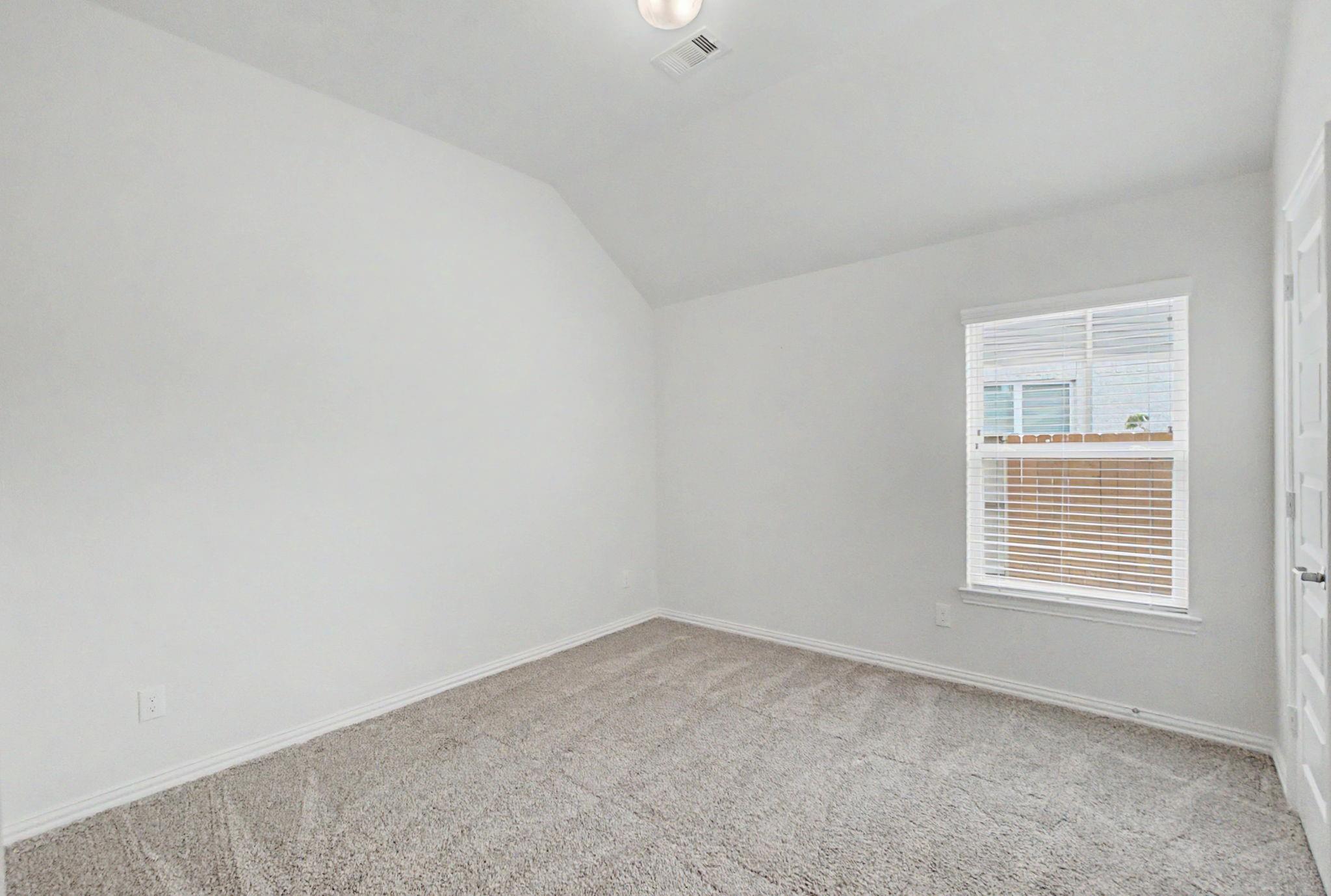 15404 Bicknells Thrush Court