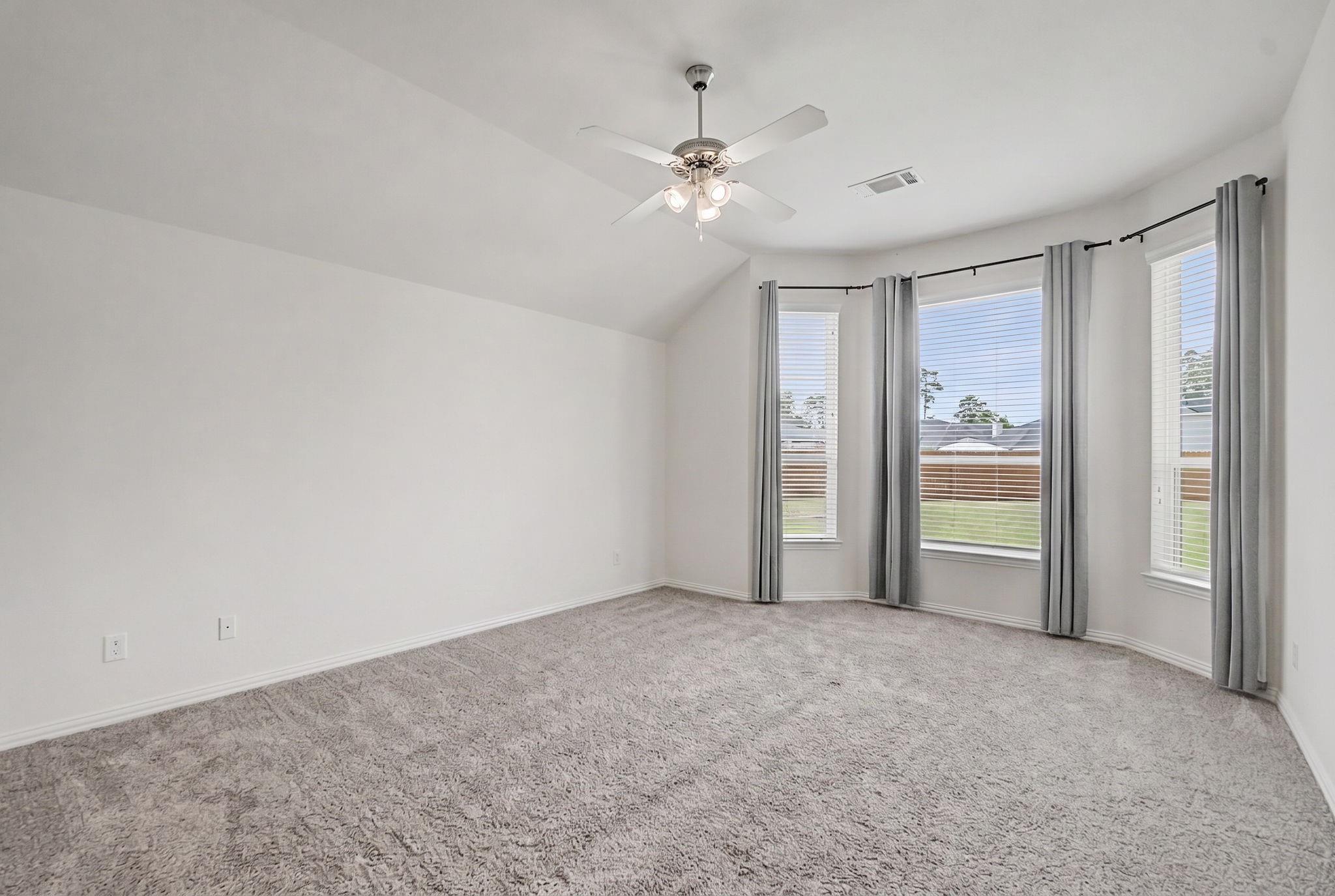 15404 Bicknells Thrush Court