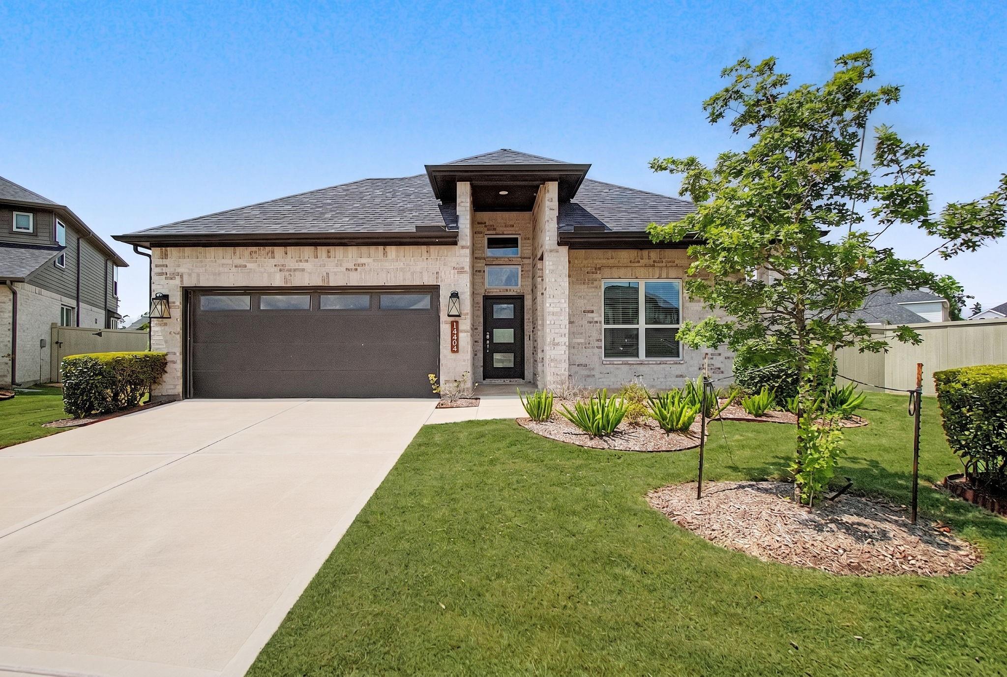 15404 Bicknells Thrush Court