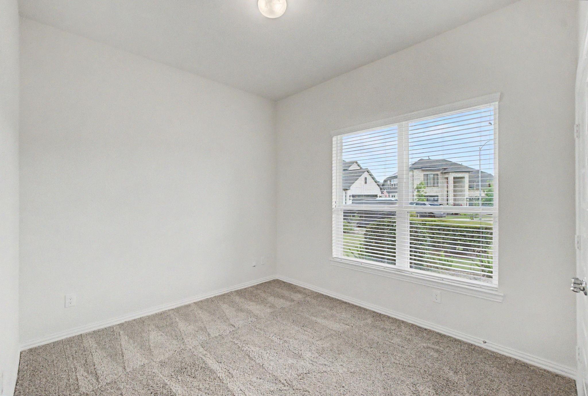 15404 Bicknells Thrush Court