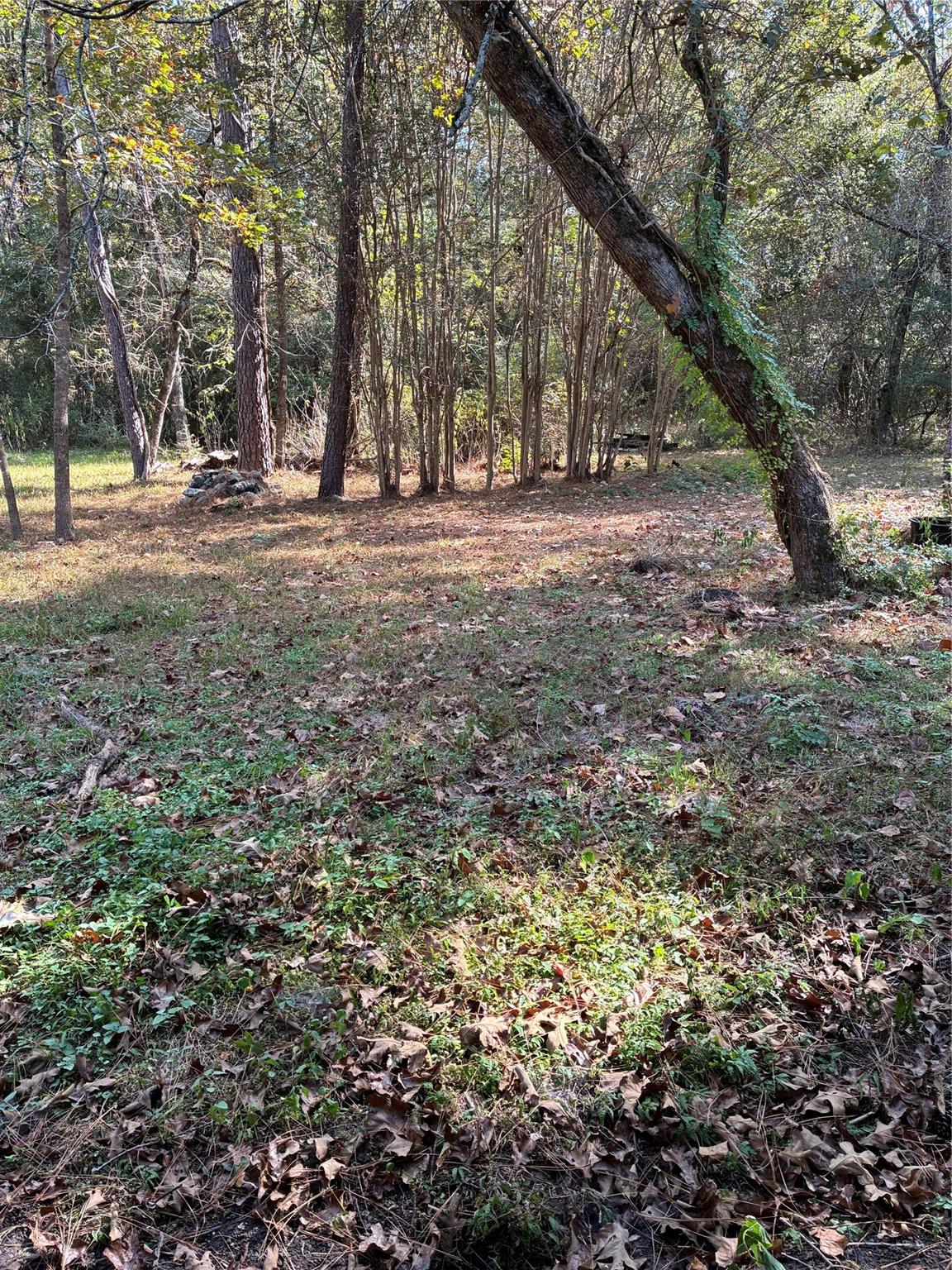 41502 N Mill Drive, Magnolia