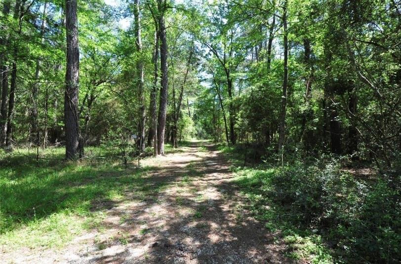 41502 N Mill Drive, Magnolia