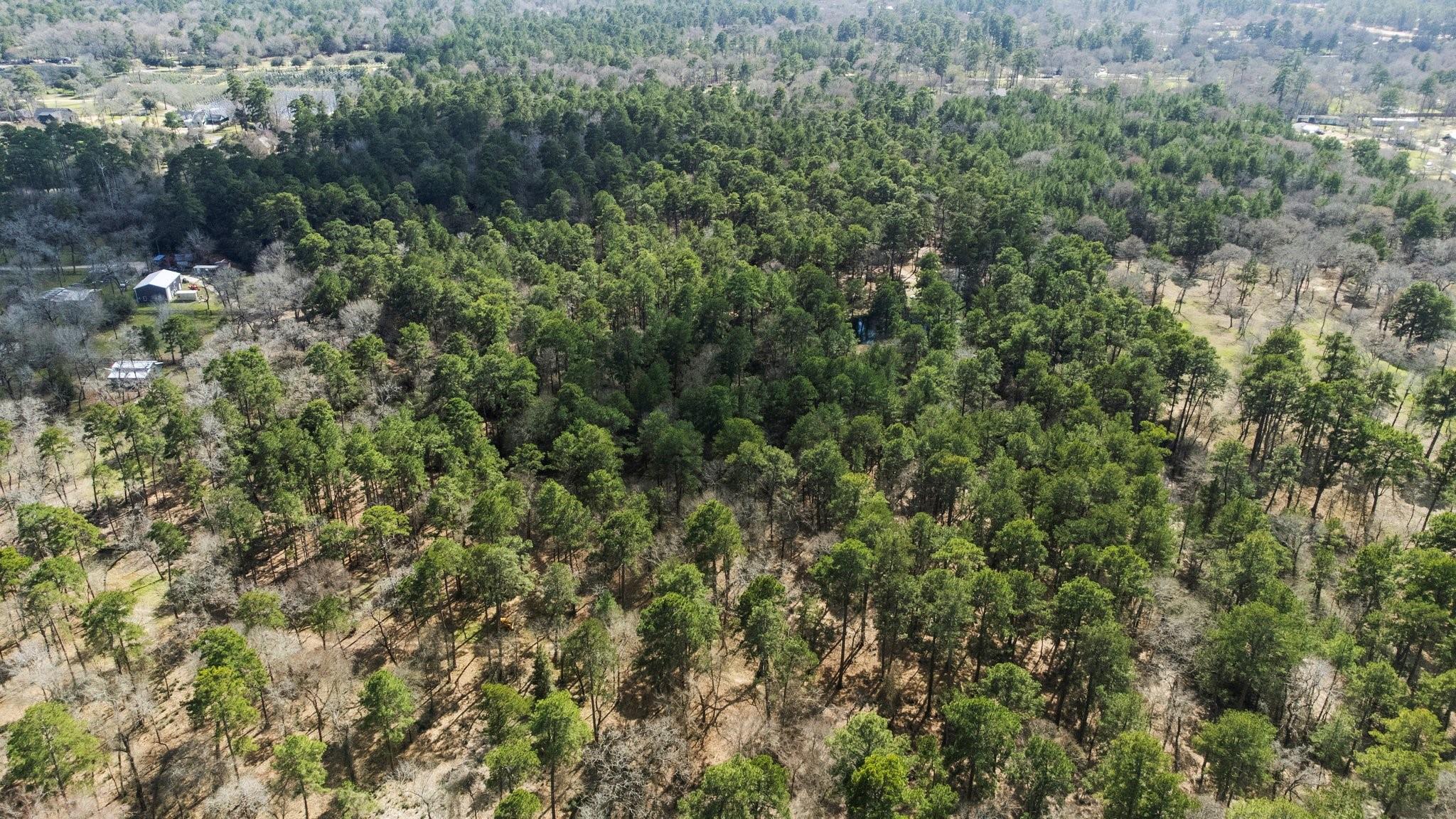 15901 Butera Road