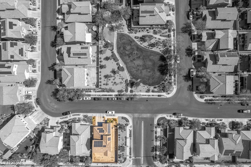 7919 Saber Tooth Street