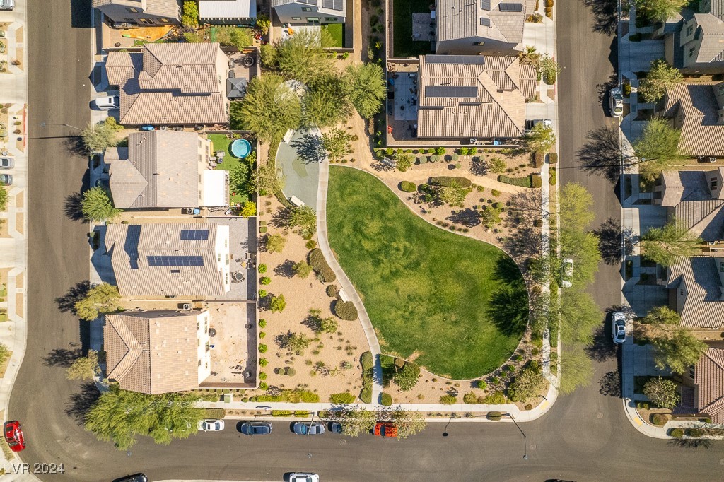 7919 Saber Tooth Street