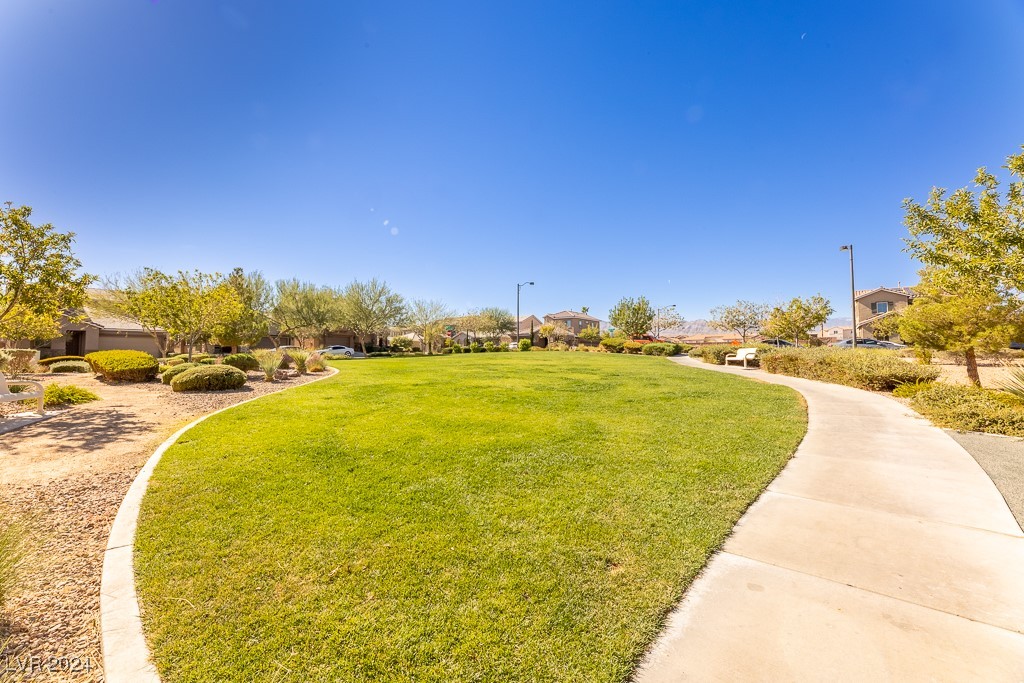 7919 Saber Tooth Street