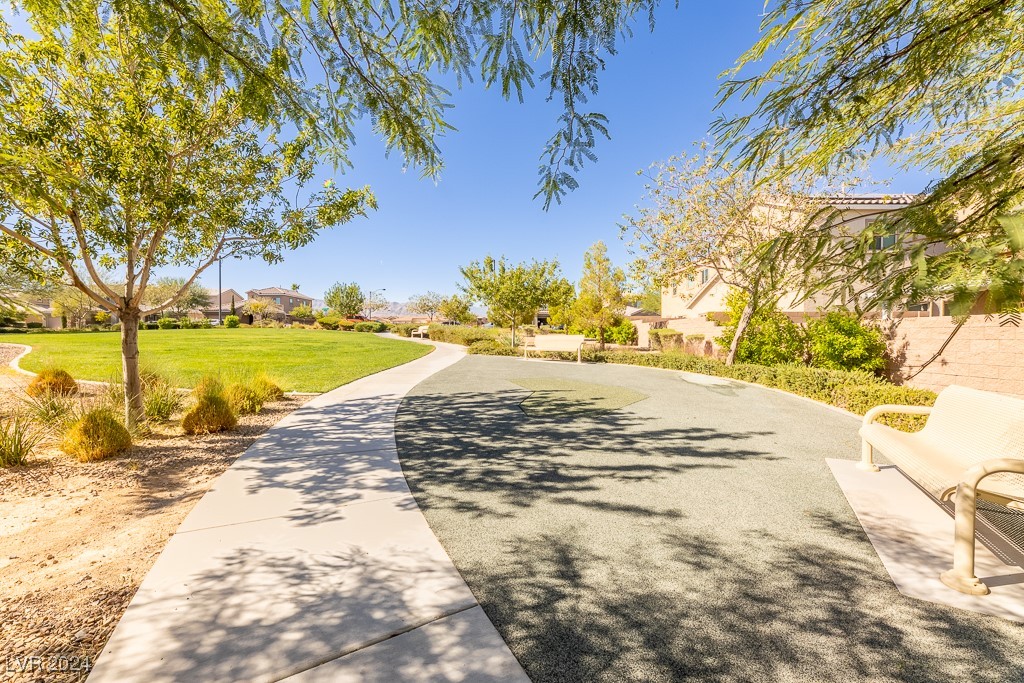 7919 Saber Tooth Street