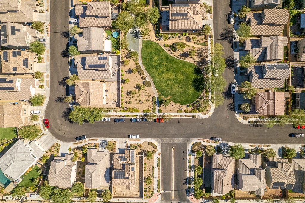 7919 Saber Tooth Street