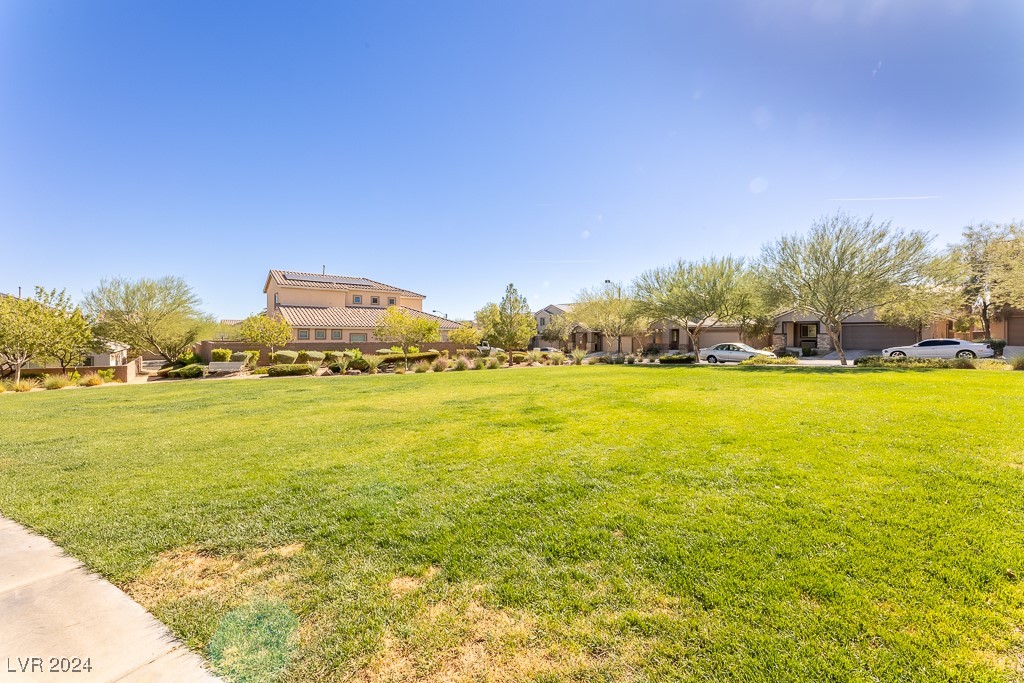 7919 Saber Tooth Street