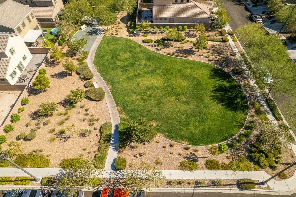 7919 Saber Tooth Street