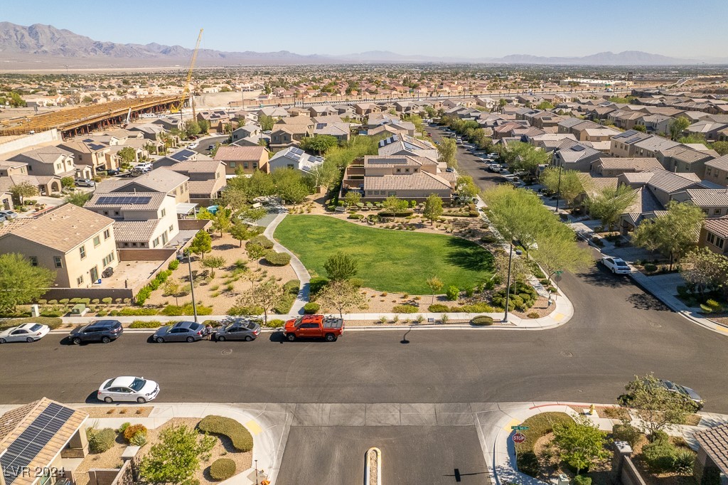 7919 Saber Tooth Street