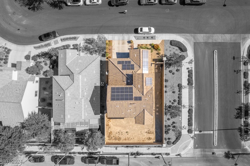 7919 Saber Tooth Street