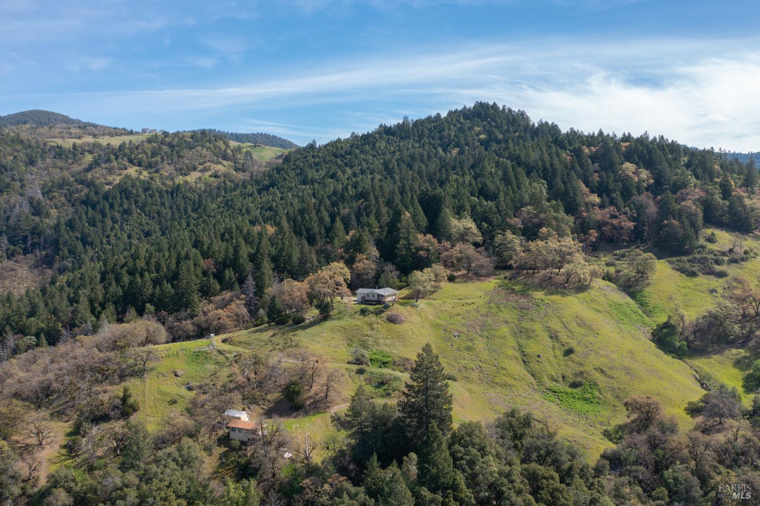 54021 Wildwood Drive