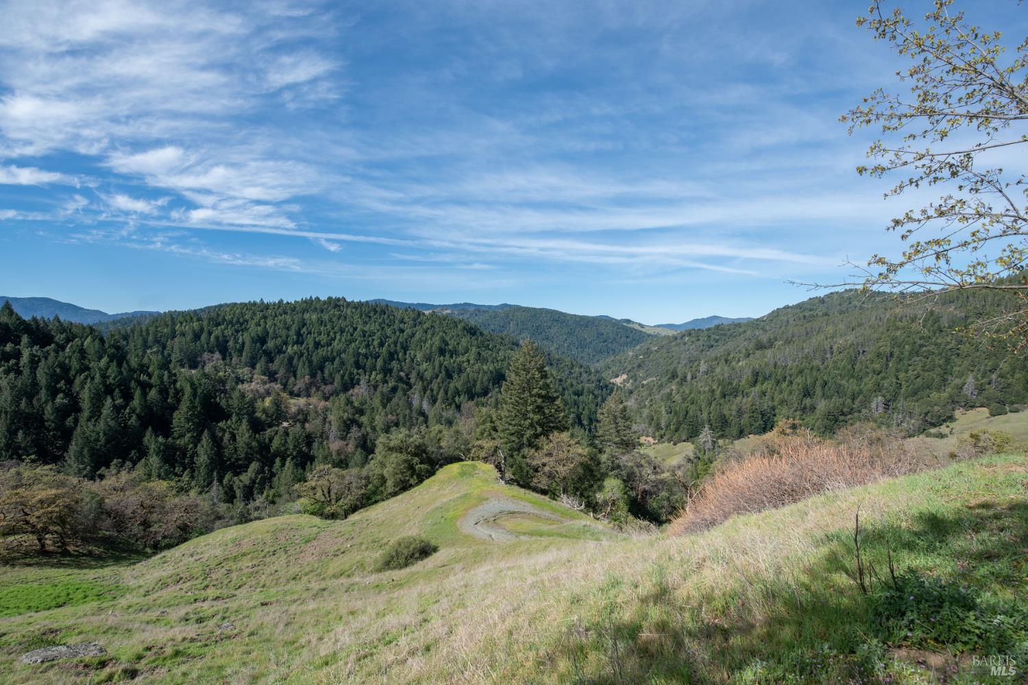 54021 Wildwood Drive