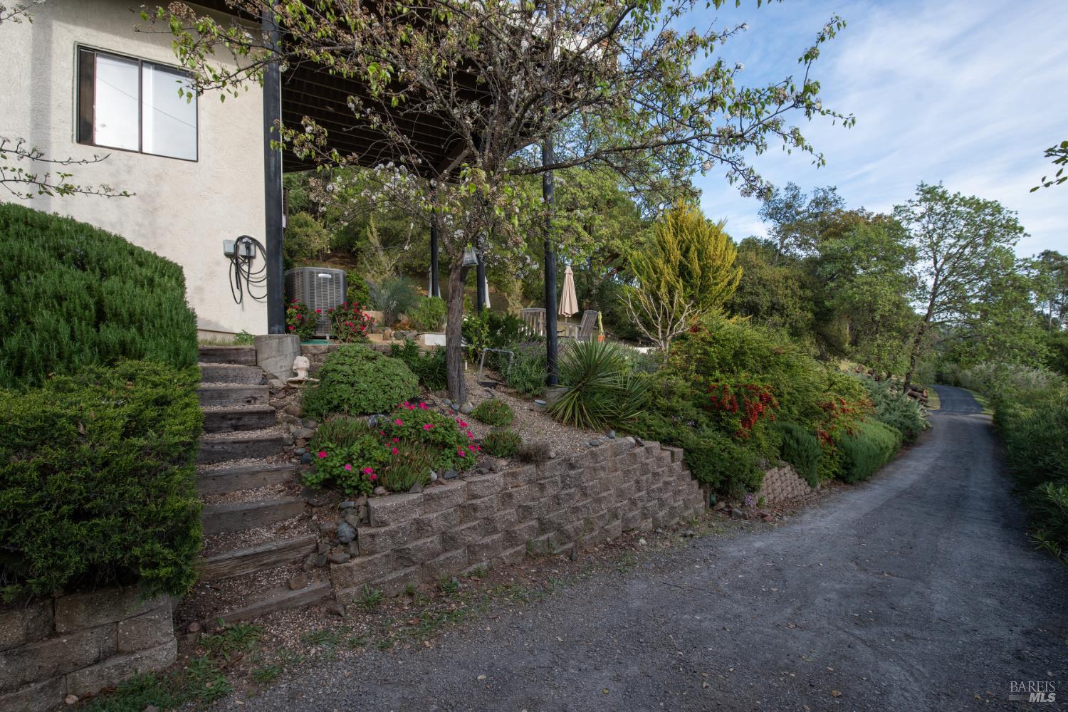 1163 Mountain Pine Road