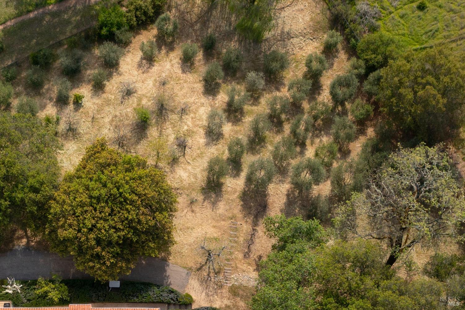 1163 Mountain Pine Road