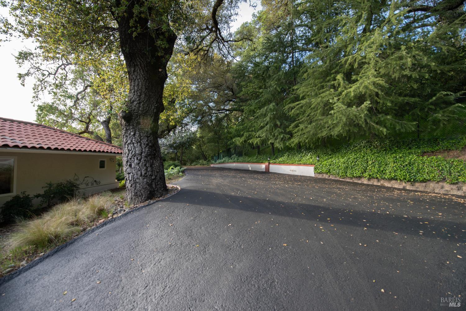 1163 Mountain Pine Road
