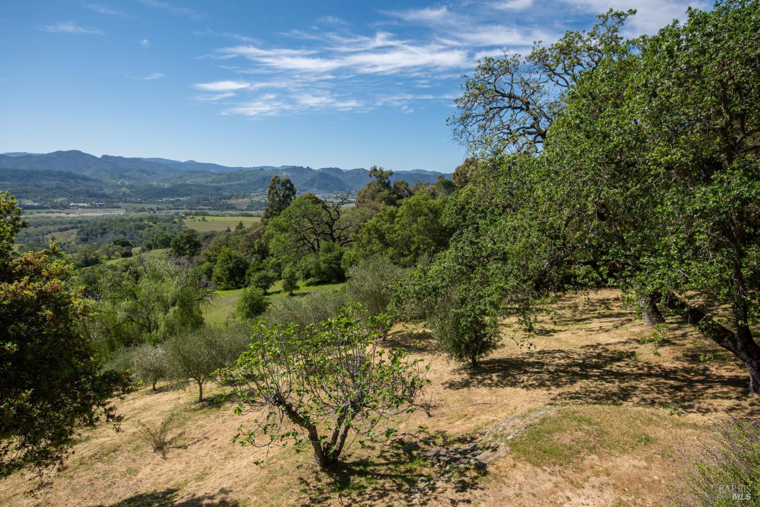 1163 Mountain Pine Road