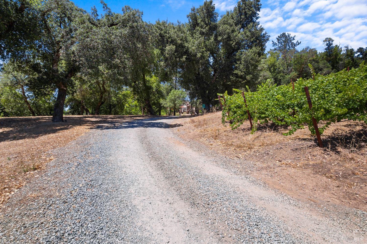 31920 Pine Mountain Road