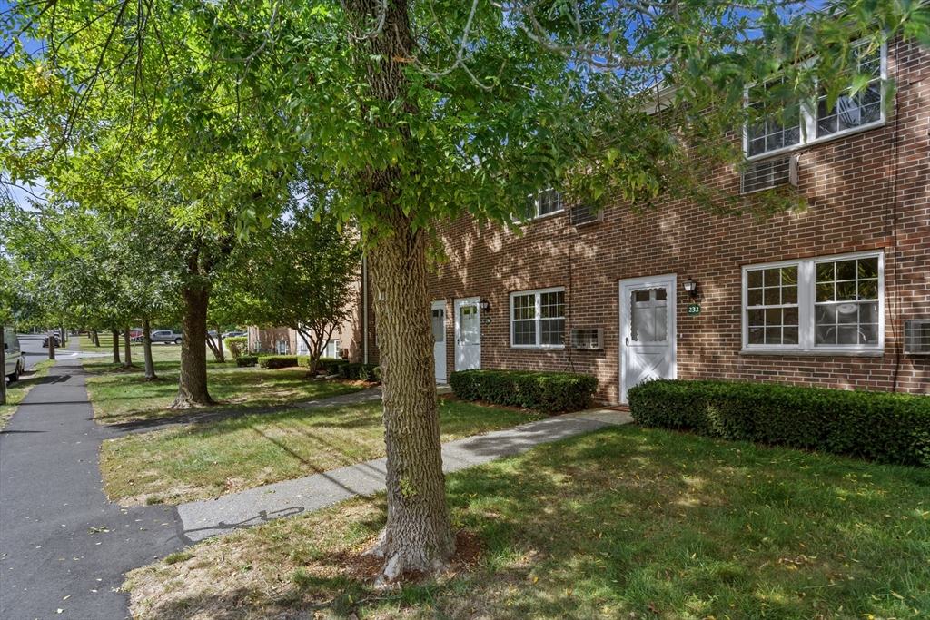 232 Rock St # 232