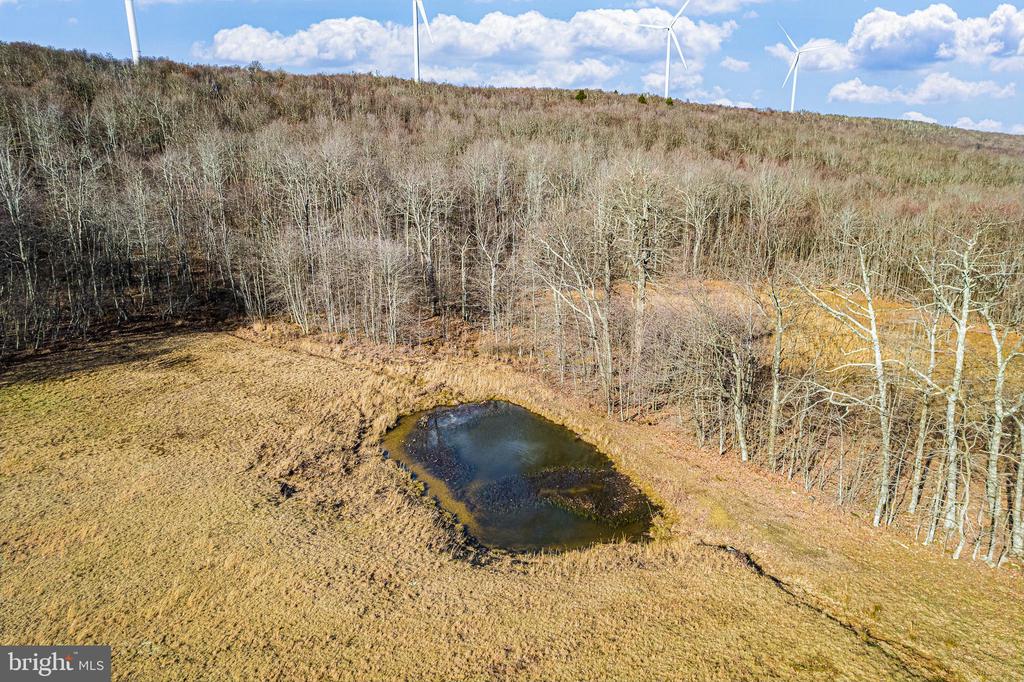465 KING WILDESEN ROAD