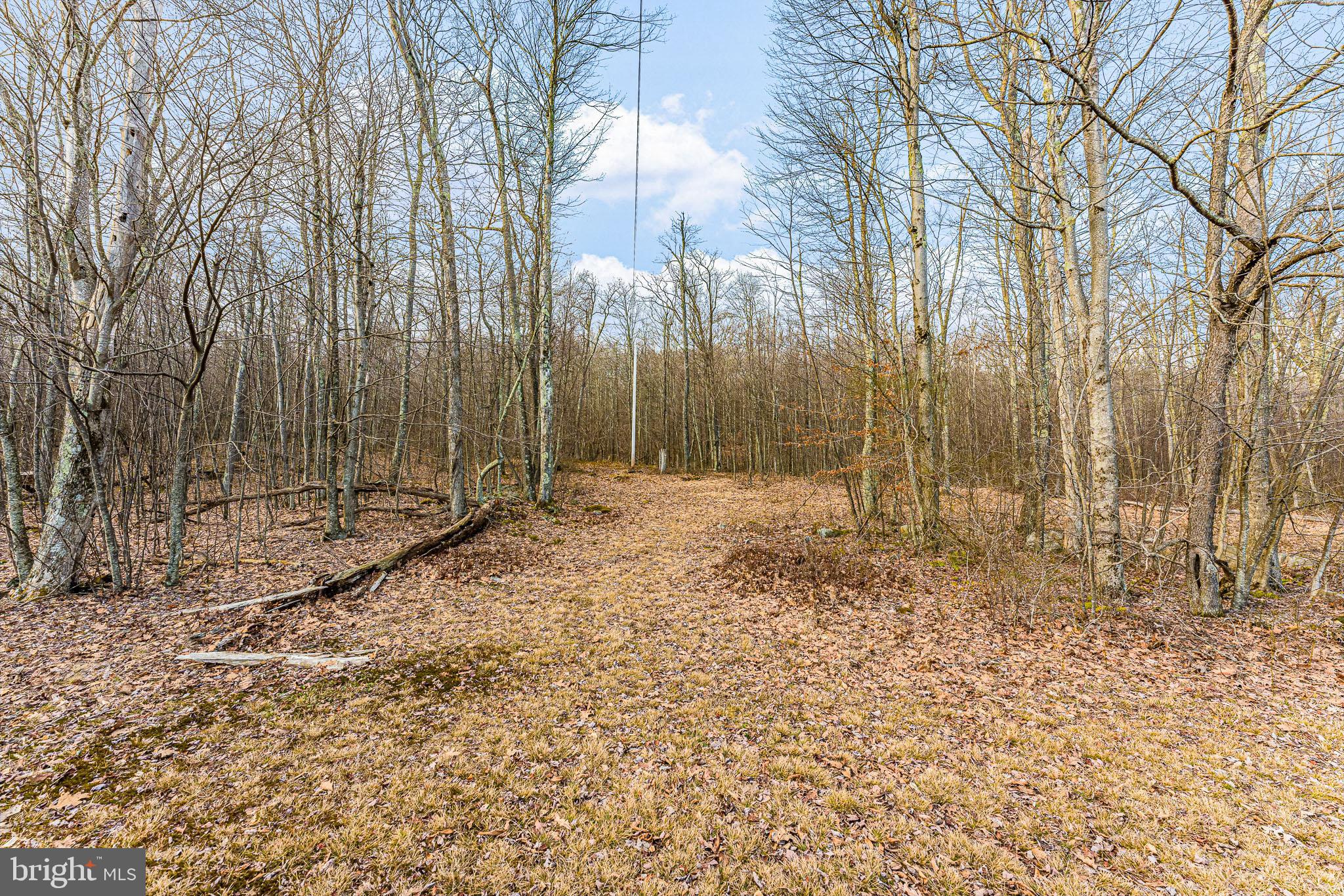 465 KING WILDESEN ROAD