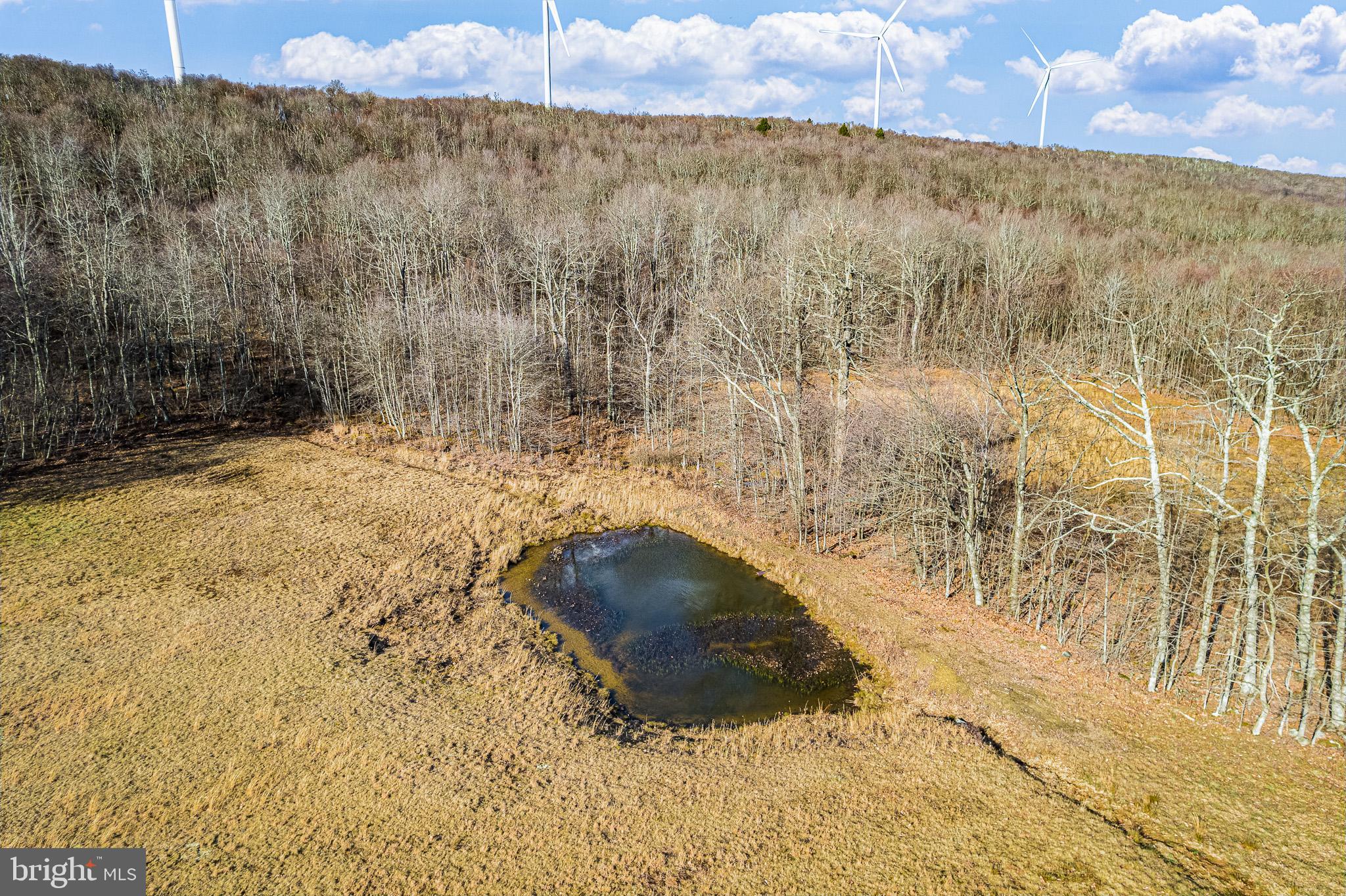 465 KING WILDESEN ROAD