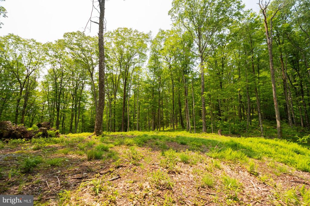 Lot 15 LITTLE MOUNTAIN ROAD
