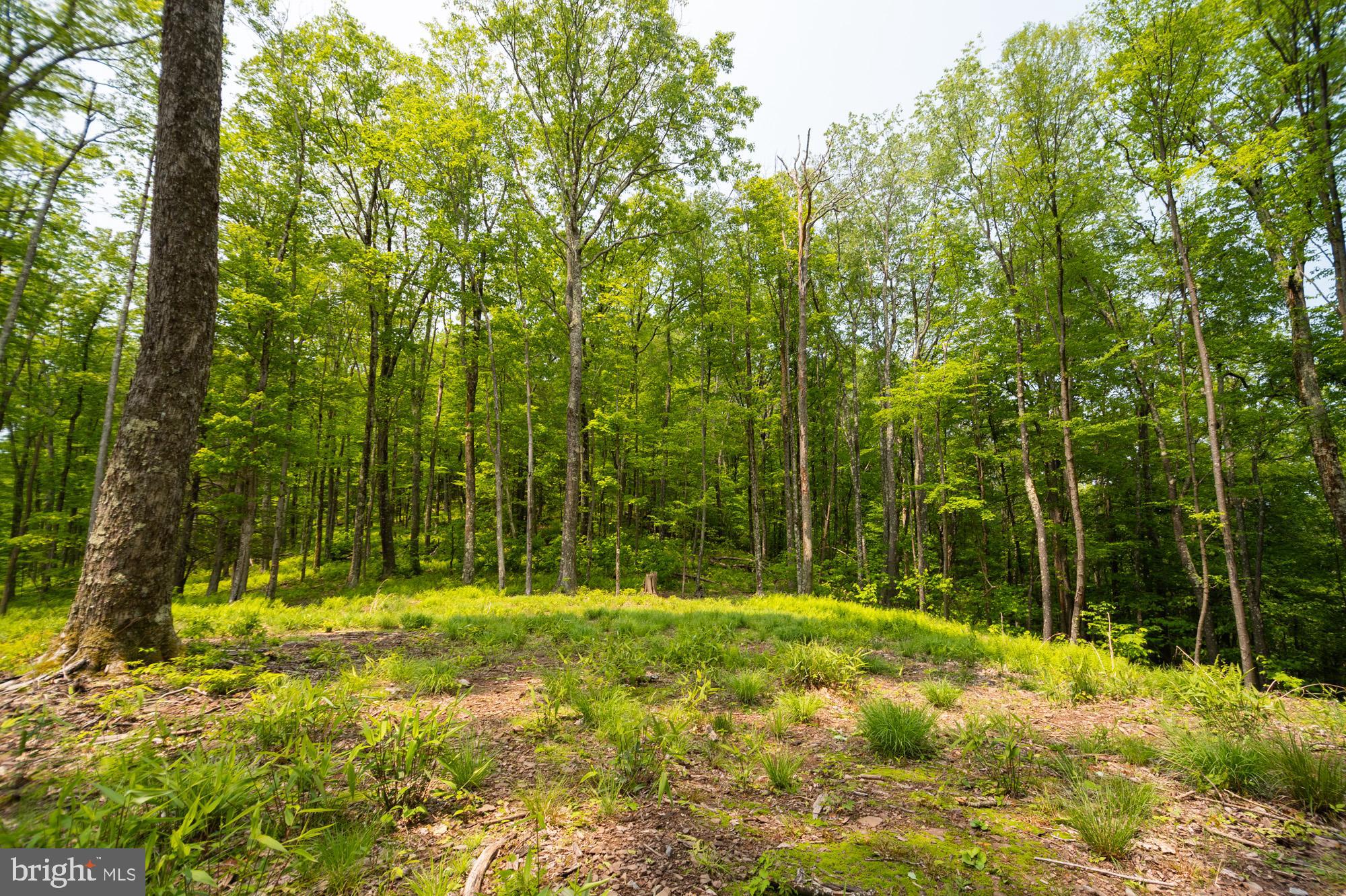 Lot 15 LITTLE MOUNTAIN ROAD