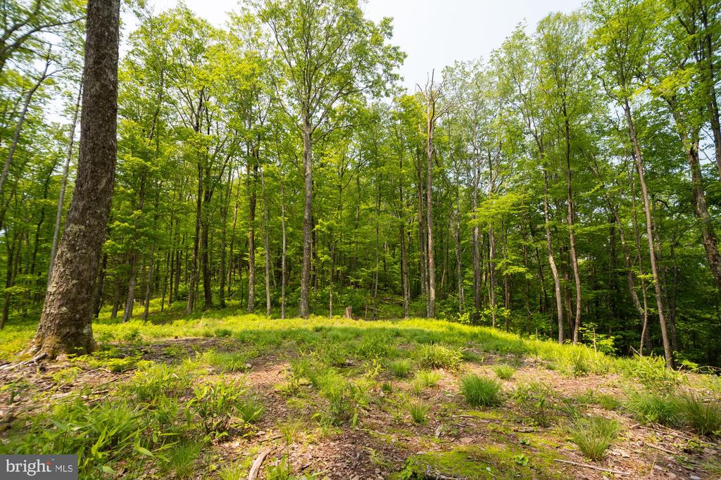 Lot 15 LITTLE MOUNTAIN ROAD