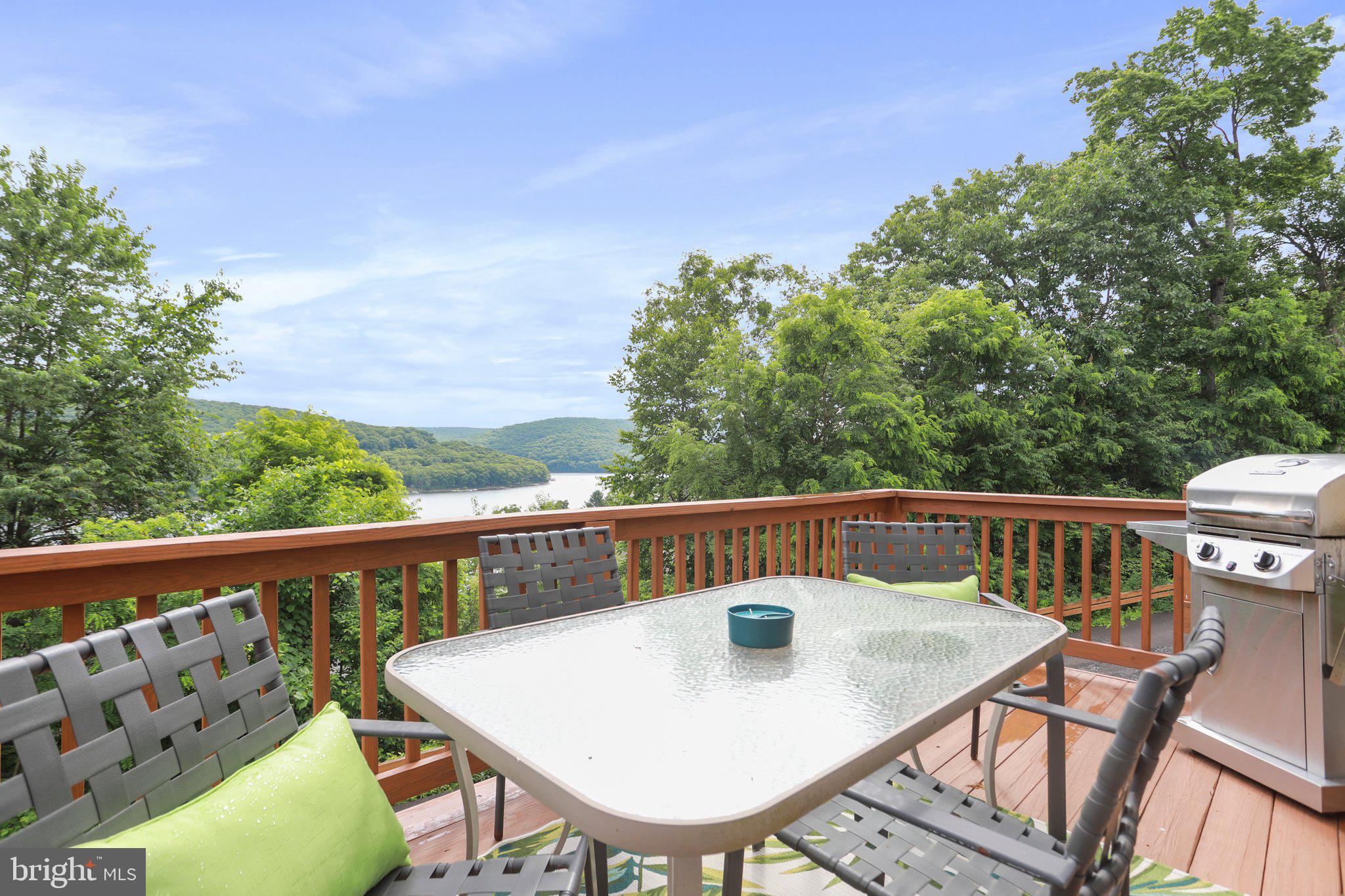 118 ROMAN RIDGE ROAD