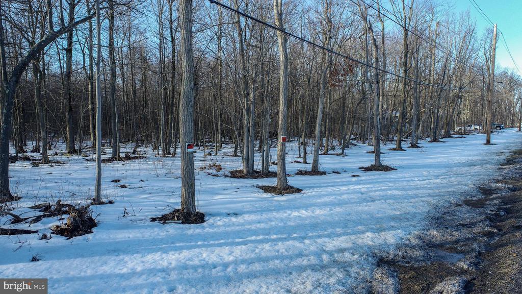 49.08 Acres MARYLAND HIGHWAY