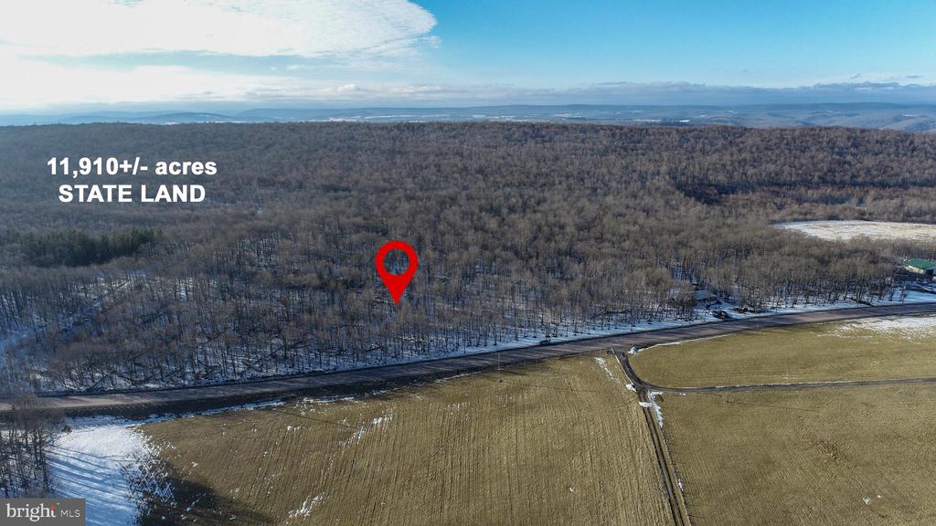 49.08 Acres MARYLAND HIGHWAY