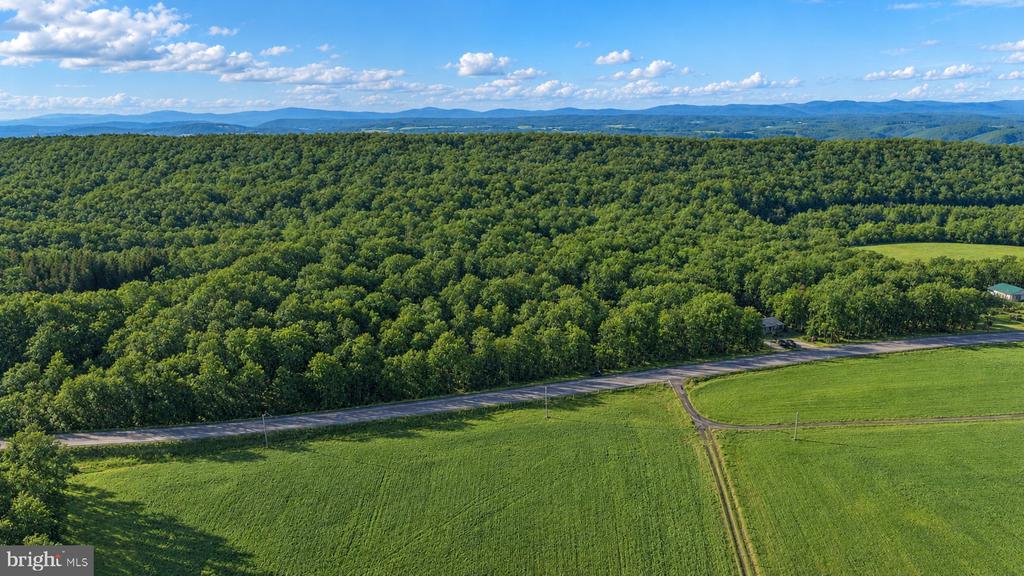 49.08 Acres MARYLAND HIGHWAY