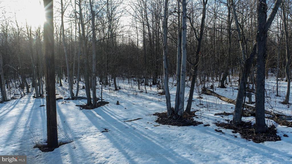 49.08 Acres MARYLAND HIGHWAY
