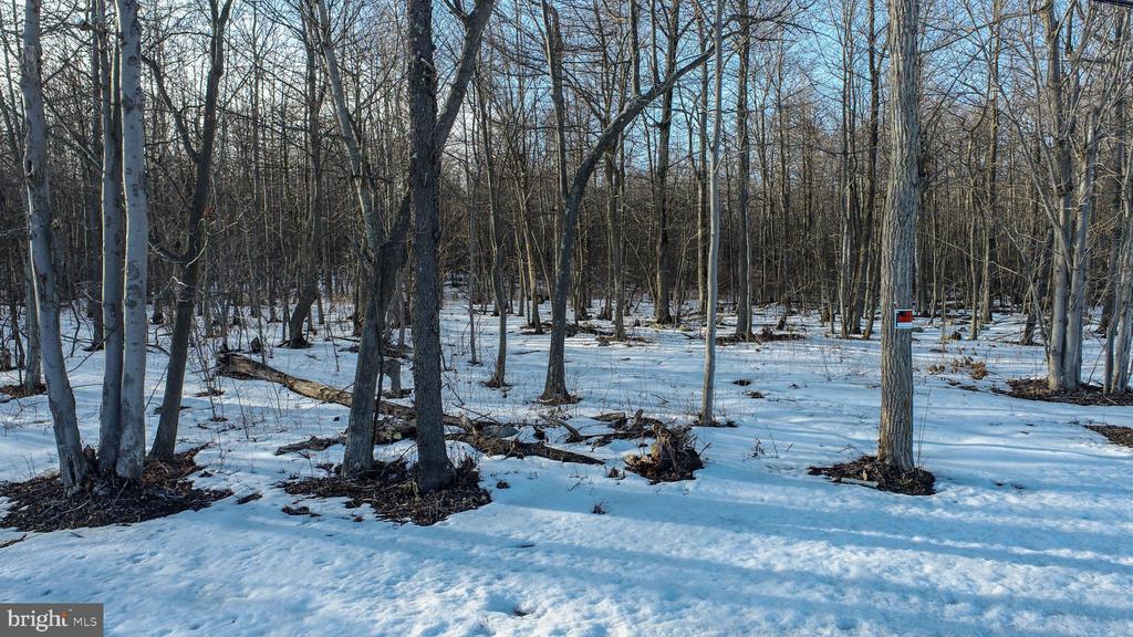49.08 Acres MARYLAND HIGHWAY
