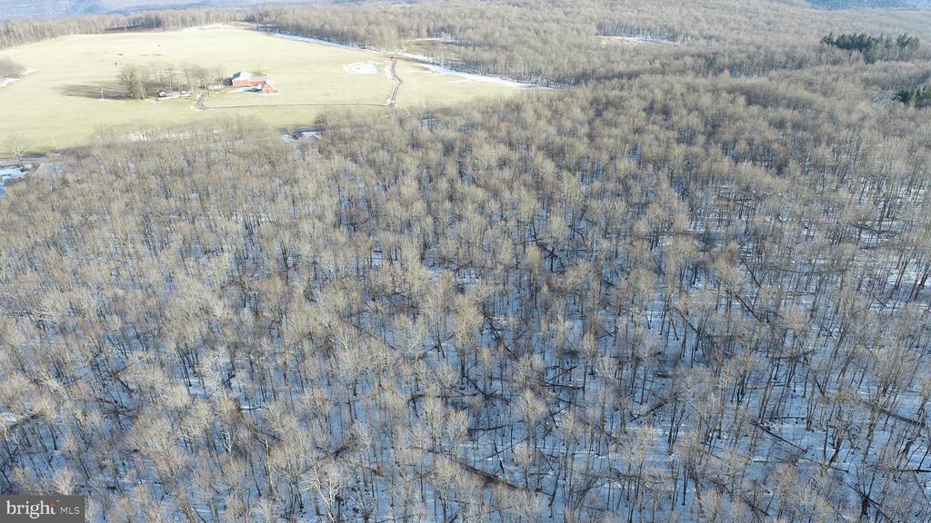 49.08 Acres MARYLAND HIGHWAY