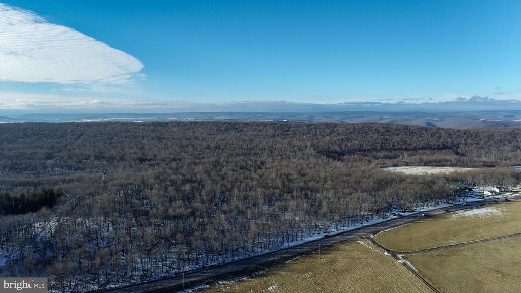 49.08 Acres MARYLAND HIGHWAY
