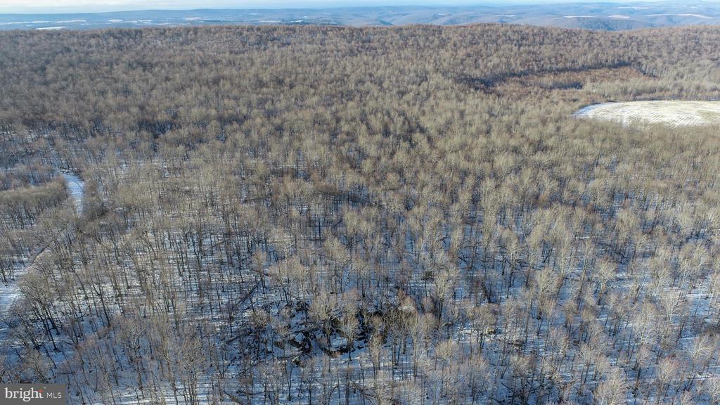 49.08 Acres MARYLAND HIGHWAY