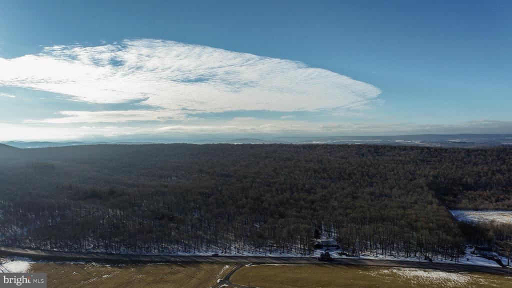 49.08 Acres MARYLAND HIGHWAY