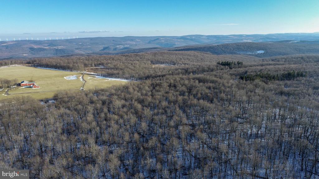 49.08 Acres MARYLAND HIGHWAY